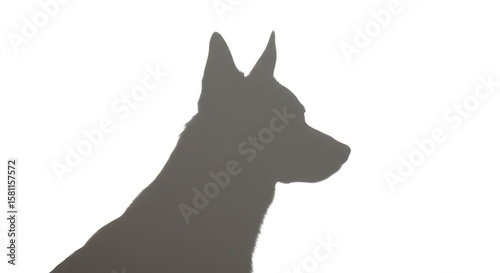 Silhouette of a dog with pointy ears against a white background in a simple and clean design style