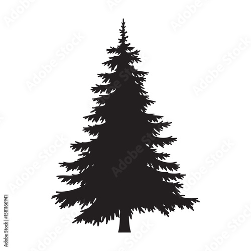 Pine tree silhouette. Vector illustration. Christmas trees vector, isolated vector image