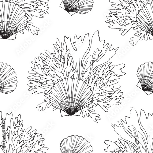 Seamless pattern Seashells, algae, corals. Hand drawn illustration of sea Shell background. Ocean Cockleshell marine underwater. Line drawing of Scallop. For print fabric wrapping. Sea bottom Abstract