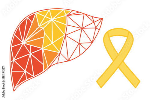 Liver Illustration and Yellow Awareness Ribbon on White Background