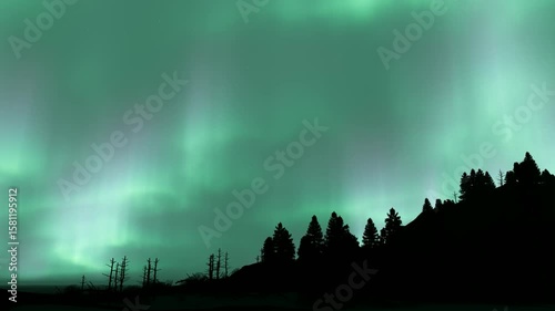 Green aurora lights shining above tree silhouettes.
