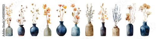 Set watercolor decorative elegant vases with dried flowers floral arrangements isolated on transparent background