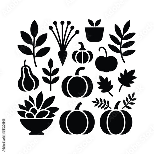 Autumn harvest symbols including pumpkins leaves and pear gourd squash