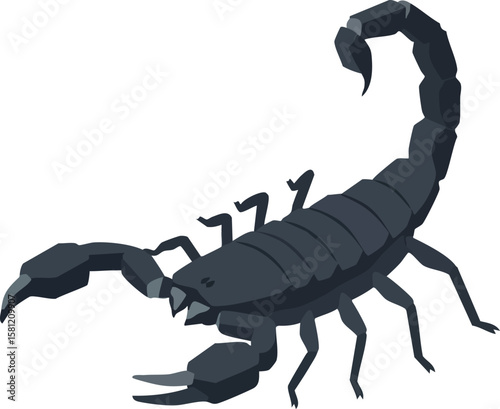 Scorpion vector illustration with segmented tail and pincers in dark color detailed design