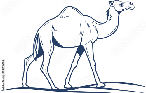 Realistic Camel Design in Minimal White Backdrop