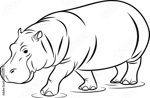 Hippo Animal Vector Drawing on White Background for Nature and Zoo Concepts