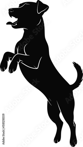 Jack Russell Terrier silhouette in jumping pose, energetic style vector isolated black and white