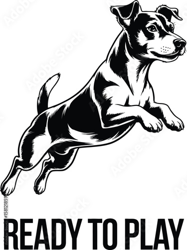 Jack Russell Terrier silhouette in jumping pose, energetic style vector isolated black and white