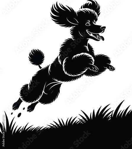 Jumping poodle silhouette in dynamic playful action pose, mid-air with outstretched paws and flying ears, isolated black and white vector
