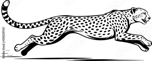 Cheetah Running Black and White Spot Pattern sprint