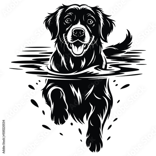 Silhouette of a swimming Golden Retriever with visible paw splashes and water movement, isolated black and white vector