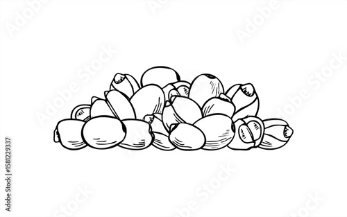 Monochrome lotus seed pile vector illustration. Etching drawing of protein rich superfood. Bean harvest stack graphic sketch for healthy food packaging, vegan product labels, nutrition blogs.