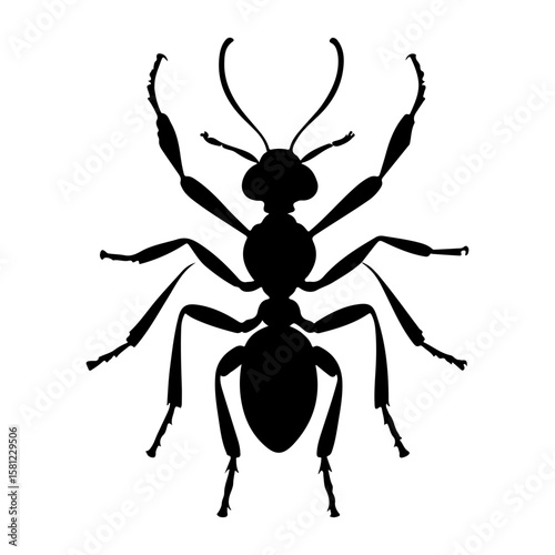 Ant Insect Top View Silhouette Vector