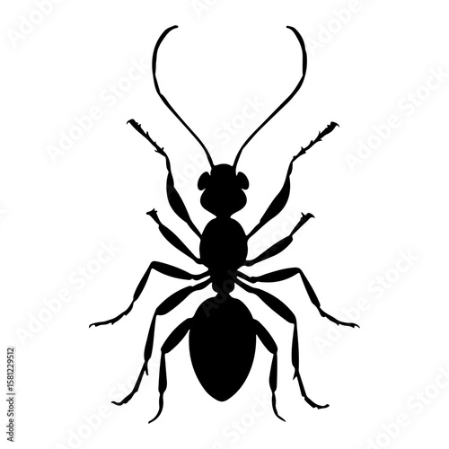 Ant Insect Top View Silhouette Vector