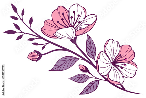 Wildflower Bloom with White Background Design