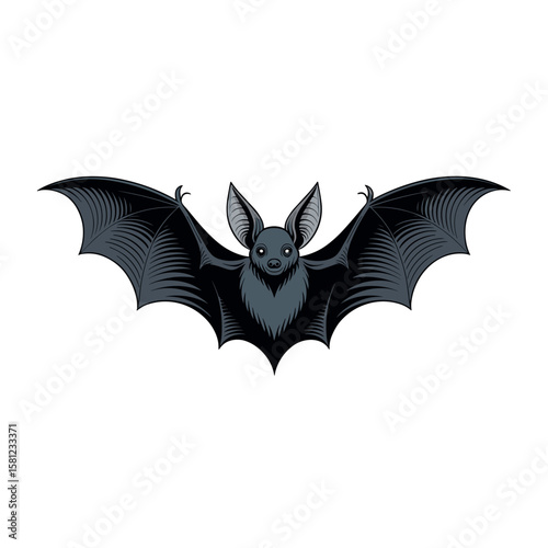 black bat illustration
