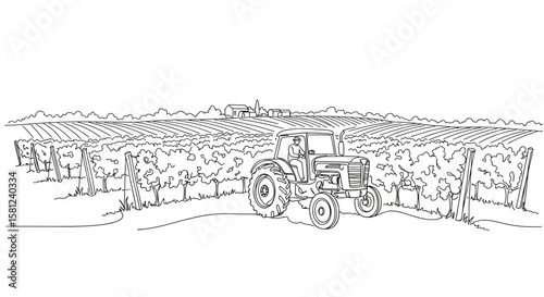 Tractor working in vineyard landscape with rows of grapevines  