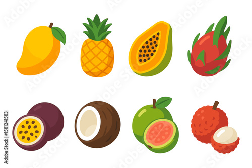 Colorful tropical fruits set in flat design