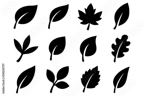 Silhouette collection of diverse leaf shapes for natural designs