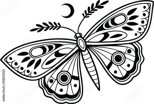 elegant-butterfly