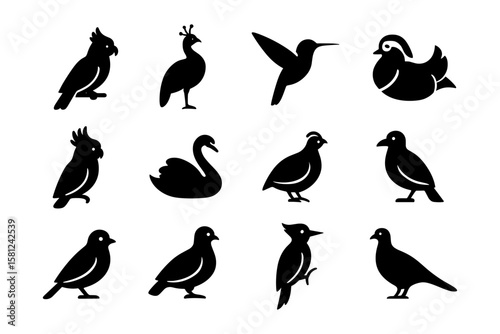 Silhouette collection of birds: iconic avian designs for nature themes