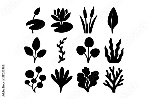 Silhouette collection of aquatic plants and seaweed icons