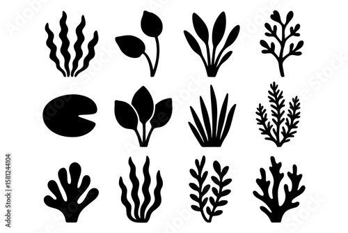 Silhouette collection of aquatic plants and seaweed icons for modern design