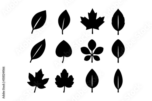 Silhouette collection of various leaf shapes for design projects