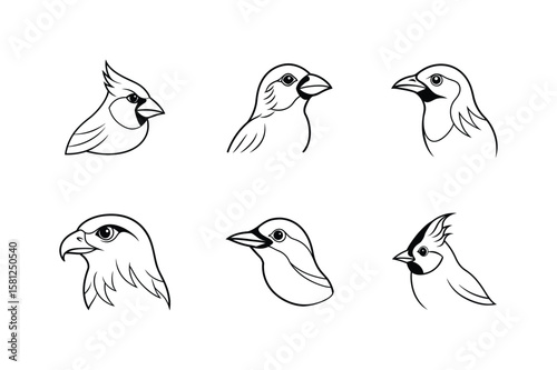Bird head line art set. titmouse, nuthatch, harrier, drongo, crossbill and cardinal bird vector illustration.