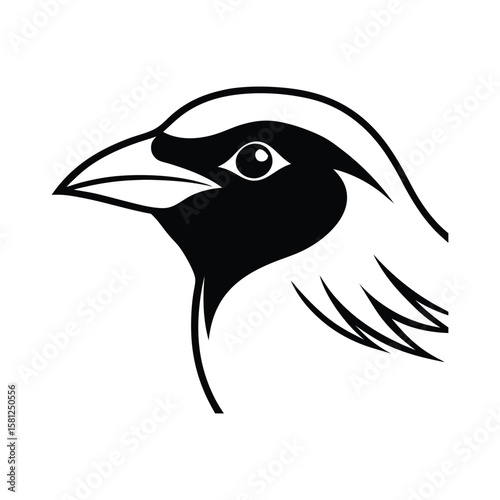 Bulbul bird head line art in detailed style for art and design vector illustration.
