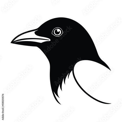 Magpie bird head sketch in hand drawn line style for design use vector illustration.