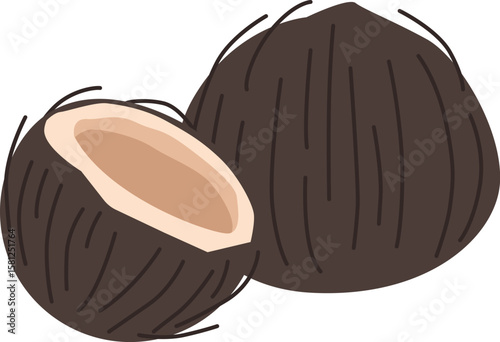 Exotic coconut snack vector illustration
