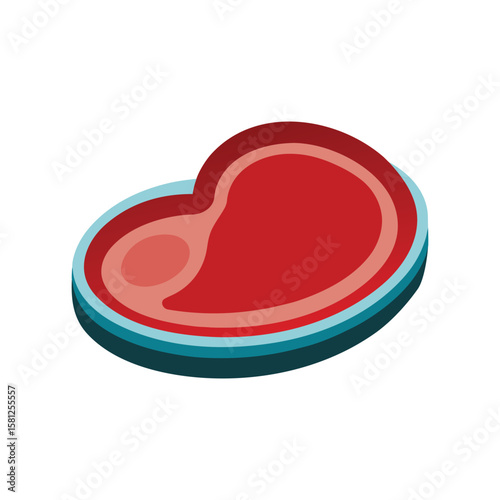 A Kidney Tray on White Background
