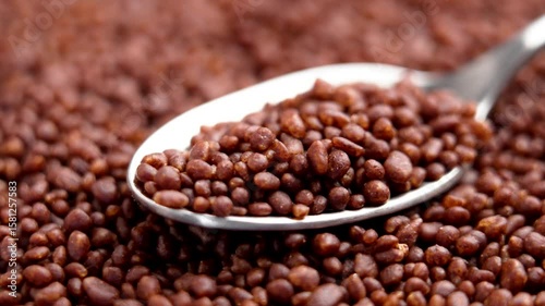 Coffee spice particles with cocoa and cardamom ingredient in metal spoon. Rotation. Macro shot