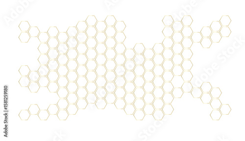 Honeycomb structure. Honey comb. Bee products in sketch style. Vector