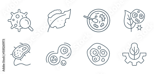 Microbiology Line Icons Set Vector - Science, Cells, Virus, Research outline illustration
