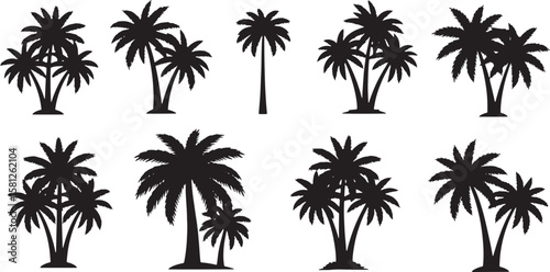 Collection of black palm tree silhouettes isolated on white background isolated on transparent background