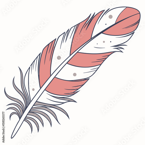 feather on white background