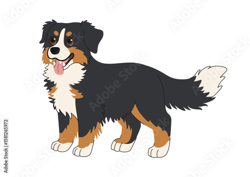 Bernese Mountain Dog standing. Cute cartoon large breed dog vector illustration. Beautiful black, white and red shepherd dog, companion breed. Clipart on white background. Cute Sennenhund.