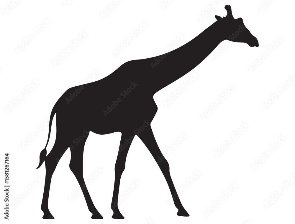 Fototapeta premium GIRAFFE SILHOUETTE