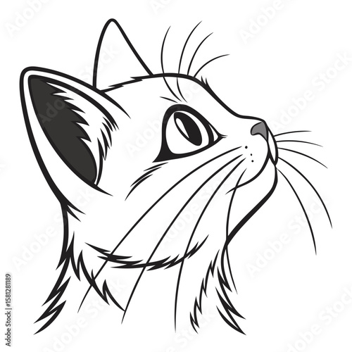 Illustration of a cat looking up with detailed whiskers and fur in a black and white drawing style created with generated ai