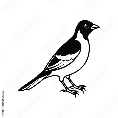 A mynah line art silhouette vector illustration on white background