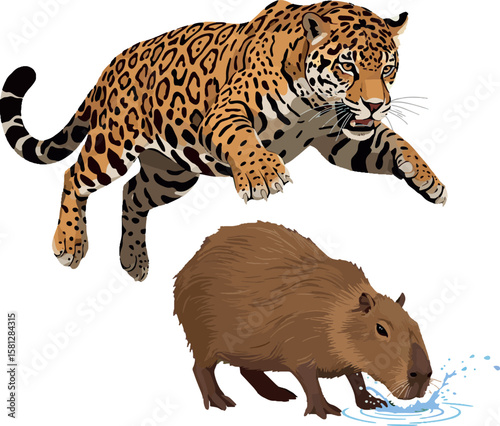 Leaping Jaguar (Panthera onca) Attacking Capybara: Vector Illustration Depicting Predator-Prey Interaction in Wetlands