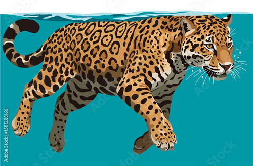  Swimming Jaguar (Panthera onca): Vector Illustration of an Aquatic Predator Navigating South American Rivers and Wetlands