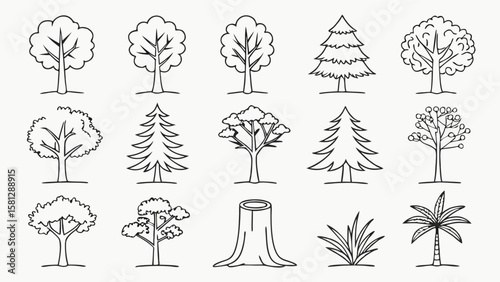 Thirty Thin Line Art Icons Depicting Various Trees Coniferous Trees Deciduous Trees Palm Tree and Grass Collection Black and White Simple