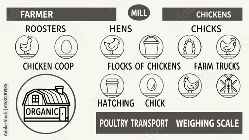 Thirty Thin Line Art Icons Illustrating Chicken Farming Organic Poultry Production from Farmer to Mill Including Roosters Hens Chicks