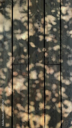 Shadow of leaves on wooden outdoor pannel wall, slats on summer night, sunshine, background
