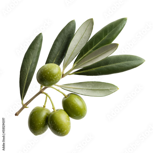 Wallpaper Mural Fresh green olives on branch close up mediterranean diet food concept isolated on transparent background Torontodigital.ca