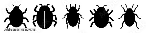 Silhouetted Variety of Beetle Illustrations with Different Body Shapes and Antennae