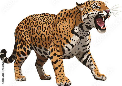 Roaring Jaguar (Panthera onca): Vector Illustration of a Powerful Feline Displaying Territorial Behavior